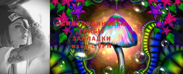 первитин Нея