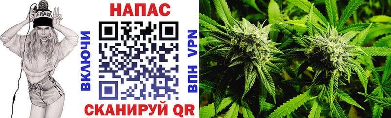 Конопля OG Kush Сердобск